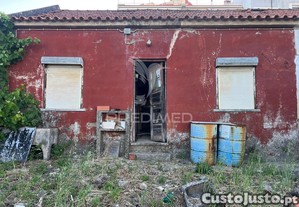 imagem_19