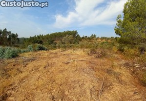 Terreno com 23500m2 com Vista Panor�mica em Local Tranquilo