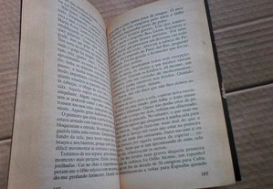 imagem_7