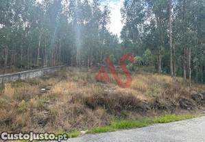 imagem_11