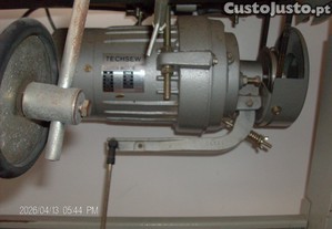 imagem_4