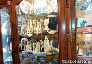 imagem_6