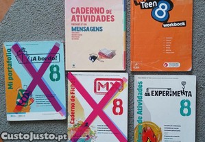 imagem_1
