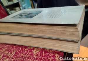 imagem_6