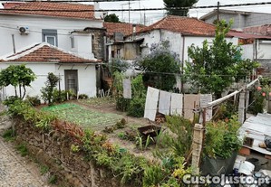 imagem_15