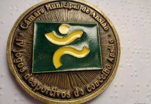 Medalha Câmara Municipal Ansião Oferta Envio