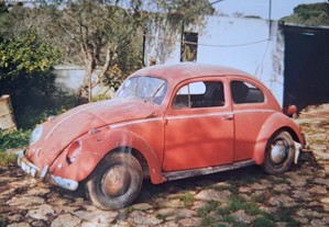 VW Carocha Oval