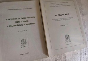 Dois livros sobre costumes de povos antigos de Moçambique