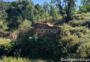 Terreno De 4992M2 Com Ruína Em Pedra Na Sertã