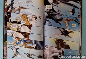 imagem_6