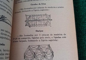 imagem_7