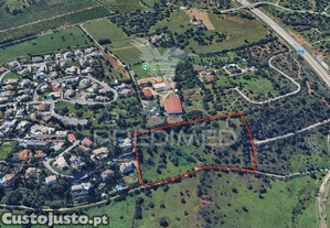 Terreno misto 24.680m2 belmonte