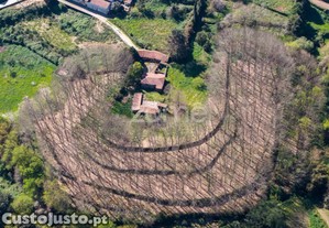 Quinta Do Património: Um Legado Vivo No Vale Do...