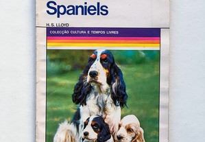 Cocker Spaniels 