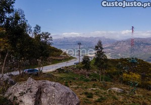 Terreno Versátil De 12.000M² Em Ruivães, Vieira...