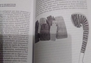 imagem_8