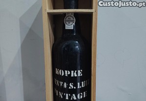 imagem_1