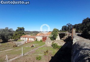 imagem_19