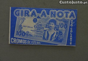imagem_1