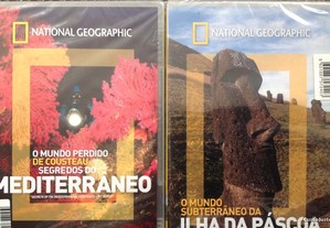 imagem_5