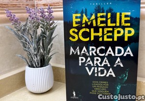imagem_1