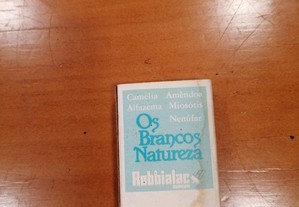 imagem_2