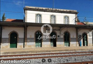 imagem_21