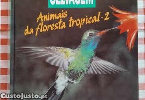 imagem_1