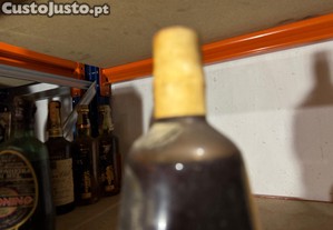 imagem_7