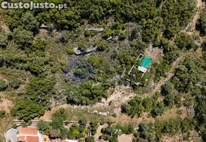 imagem_17