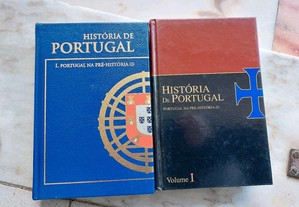 De João Medina [História de Portugal] N 1