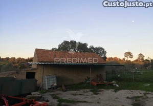 imagem_6