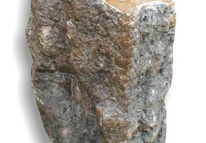 Tronco de madeira fossilizada 35kg - 33x31x22cm