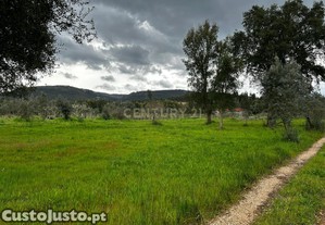 Terreno - Vila Nova de Poiares