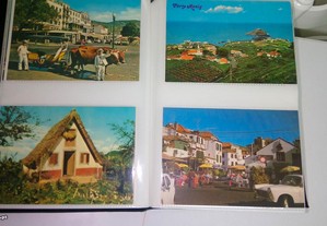 imagem_2