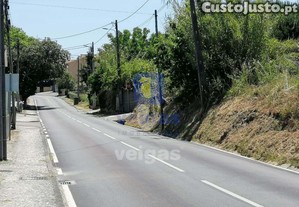 imagem_8