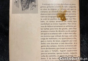 imagem_6
