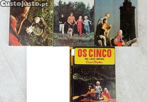 imagem_1