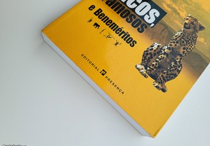imagem_2