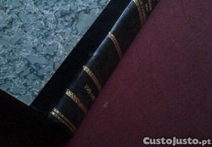 imagem_6