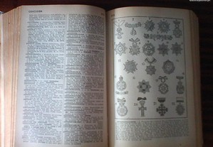 imagem_6
