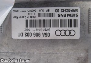 imagem_2