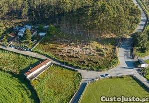 Terreno Com 4200M2 Em São Pedro De Avioso