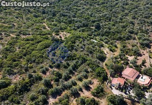 imagem_14