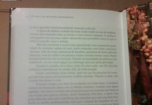 imagem_7