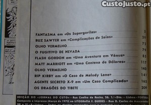 imagem_8