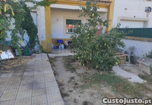 imagem_24
