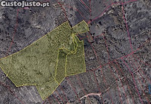 Terreno T2 em Monchique de 167,00 m²