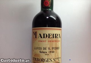 imagem_1