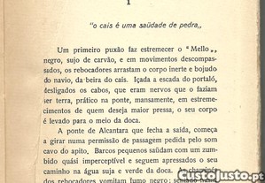 imagem_6
